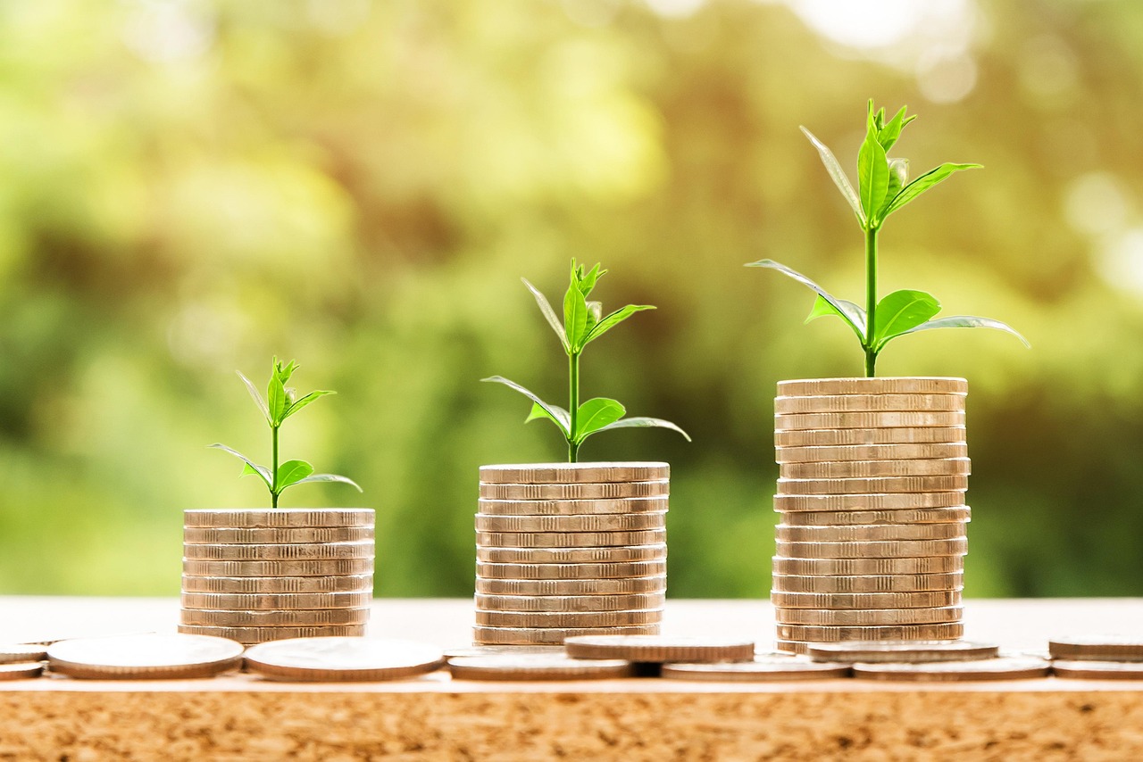 découvrez notre expertise en développement de franchise pour étendre votre réseau efficacement. stratégies personnalisées et accompagnement complet pour réussir votre croissance.