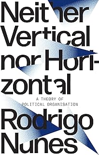Neither Vertical nor Horizontal: A Theory of Political Organization (English Edition)
