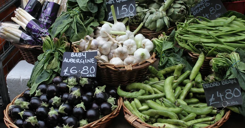 Le comparatif des modèles économiques : accrédité vs revendeur
