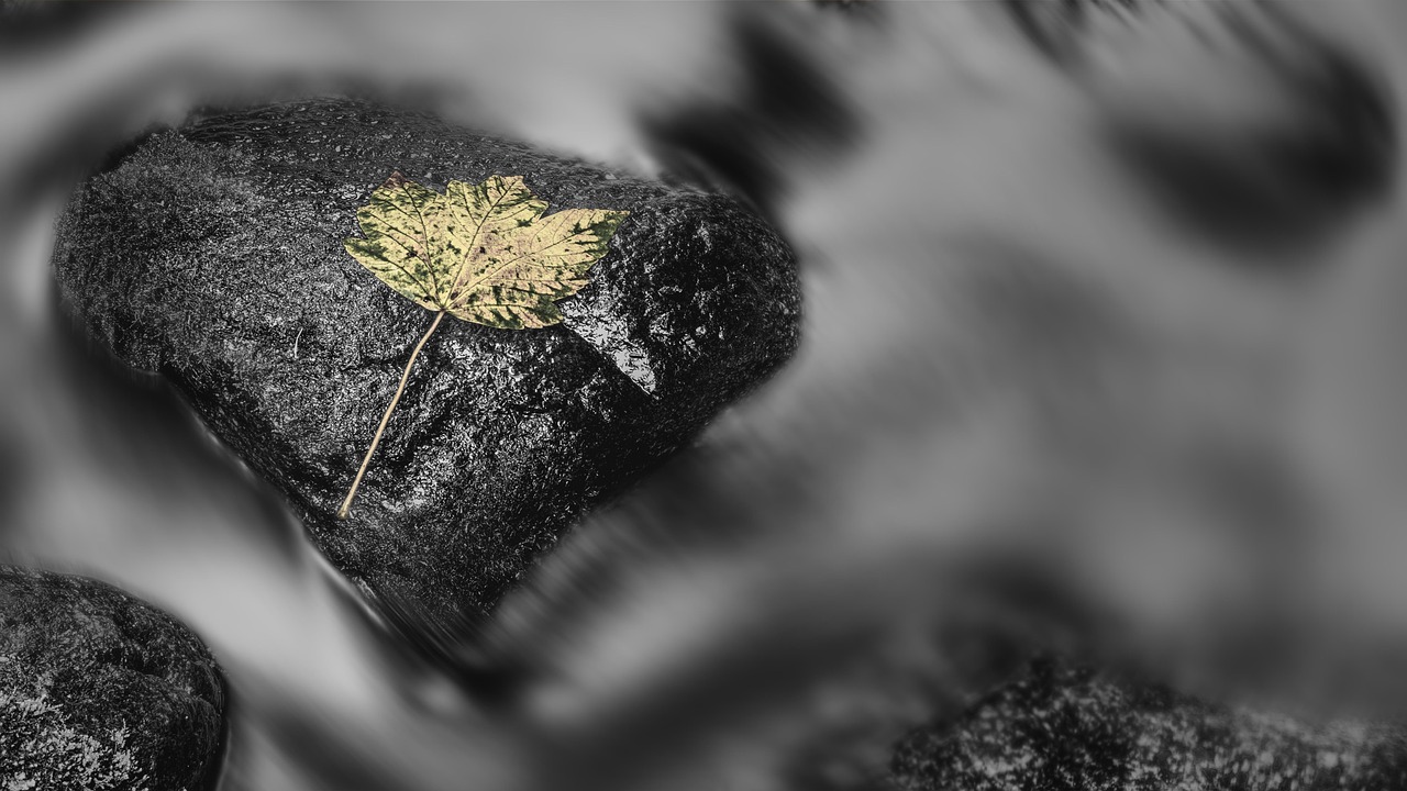 apprenez &agrave; ma&icirc;triser la d&eacute;l&eacute;gation efficace pour optimiser la gestion de votre &eacute;quipe, am&eacute;liorer la productivit&eacute; et atteindre vos objectifs avec succ&egrave;s.