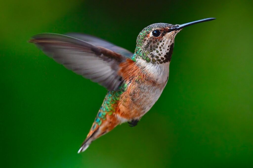 Les clés d’une transformation agile réussie découvrez comment réussir une transformation agile efficace et durable pour améliorer la performance de votre entreprise et favoriser l'innovation.